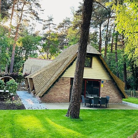 Vakantiewoning Waag Rekem المظهر الخارجي الصورة